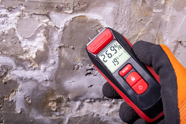 Best Residential Mold Removal  in Pearisburg, VA