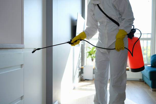 Best Professional Mold Removal  in Pearisburg, VA