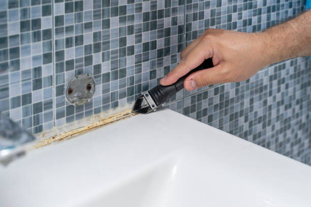 Pearisburg, VA Mold Removal Company