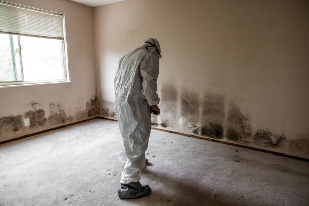 Water Damage Restoration in Pearisburg, VA